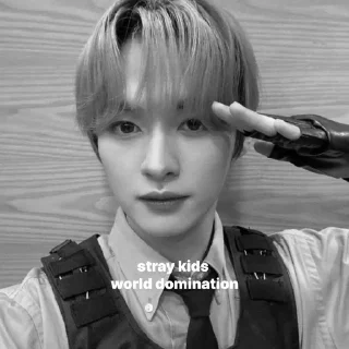 🐈‍⬛ emoji @skzarchivel Telegram sticker 14 of 20