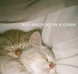 ❤️ emoji Милашки 🥺 Telegram sticker 14 of 65