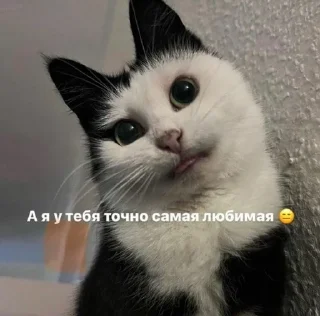 😌 emoji Милашки 🥺 Telegram sticker 19 of 65