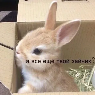 🥺 emoji Милашки 🥺 Telegram sticker 21 of 65