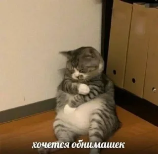 🥺 emoji Милашки 🥺 Telegram sticker 15 of 65
