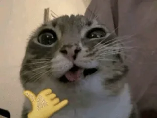 🌟 emoji эээ бля бананы Telegram sticker 9 of 48