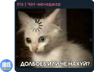 ❔ emoji фигня какая-то Telegram sticker 5 of 11