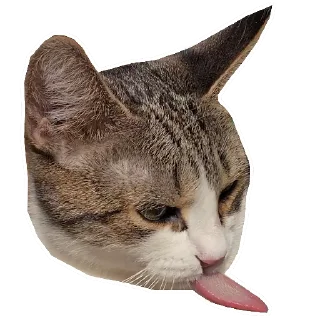 😛 emoji Кошка Мята Telegram sticker 7 of 11