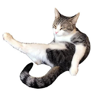 Sticker from Кошка Мята