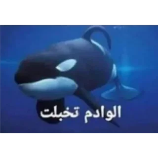 🐋 emoji @I2yf7I would never mate Telegram sticker 9 of 120