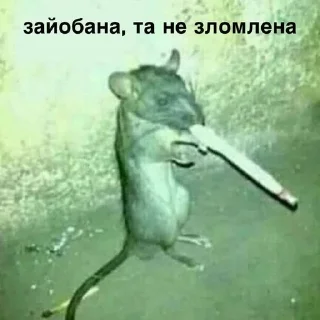 🌟 emoji ЦЕЙ ВО , ПОФІГ 👹 Telegram sticker 19 of 97