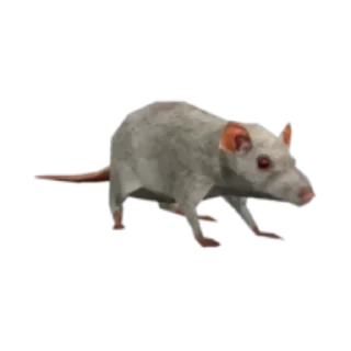 🐁 emoji милые смайлики пак Telegram sticker 19 of 63