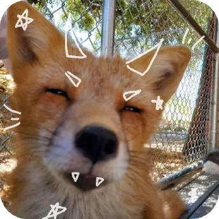 Sticker from 🦊 ( @Izuku_Midoriya15_07 )
