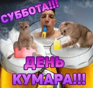 💨 emoji СТИК НЕДЕЛЬКА Telegram sticker 6 of 50