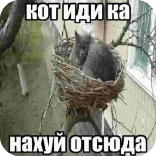 ❤ emoji Члены Члены Яйца Яйца Telegram sticker 24 of 38