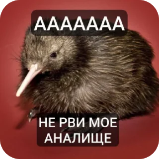 👍 emoji биля Telegram sticker 14 of 65