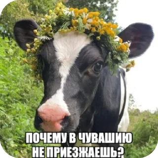 👍 emoji биля Telegram sticker 15 of 65