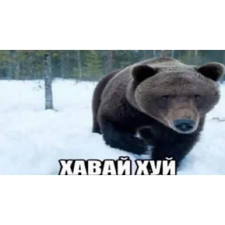 🐶 emoji биля Telegram sticker 7 of 65