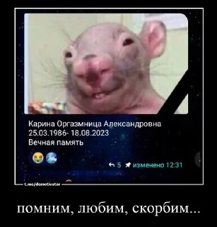 🕯 emoji всем ку Telegram sticker 8 of 17