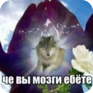 🌸 emoji максон Telegram sticker 6 of 13