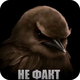 🖼 emoji Вряд ли Telegram sticker 23 of 120