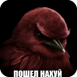 🐦 emoji Вряд ли Telegram sticker 9 of 120