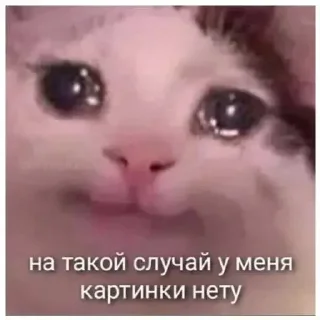 Sticker from Мемы