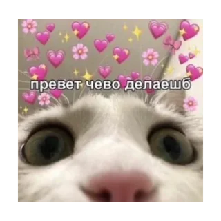 Sticker from мимими @stickersforyourlife