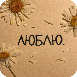 🐞 emoji Poets&Writers Telegram sticker 13 of 26