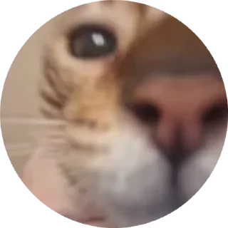 Sticker from Брунелло Кучинелли
