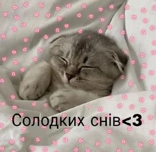 Sticker from рандом