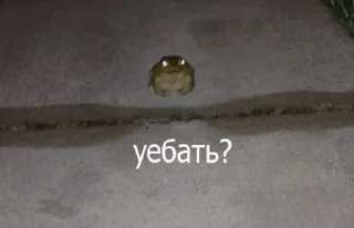 😐 emoji СмИщНыЕ ЩюТкИ Telegram sticker 10 of 61