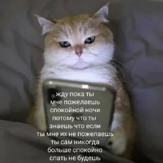 😡 emoji чоо пон Telegram sticker 15 of 54