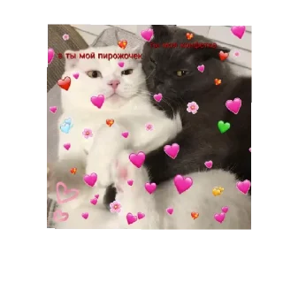 🐱 emoji я тебя люблю. .  . Telegram sticker 20 of 28