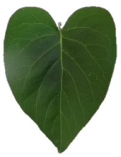 💚 emoji Heartz @cutethemes Telegram sticker 12 of 55