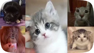 🤯 emoji гифки Telegram sticker 5 of 50