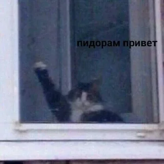 😈 emoji Заёб Telegram sticker 20 of 29
