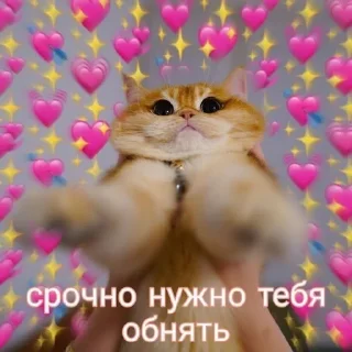 ❤️ emoji kitty'bitch Telegram sticker 3 of 108