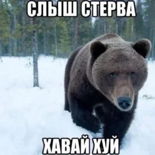 Sticker from Для гнид