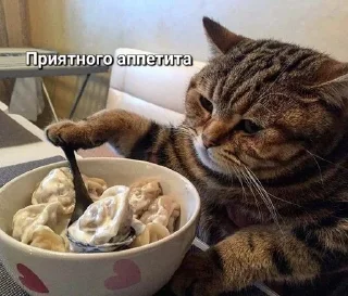 😁 emoji НужныеСтики Telegram sticker 19 of 120
