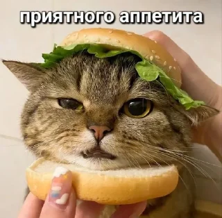 😁 emoji НужныеСтики Telegram sticker 22 of 120