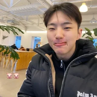 🐯 emoji hoshi @stckheavn Telegram sticker 14 of 15