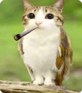 🚬 emoji meowl :: @rxoulw Telegram sticker 17 of 38