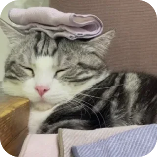 Sticker from Panchan