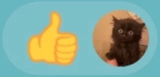🌟 emoji Nedronkina Telegram sticker 16 of 102