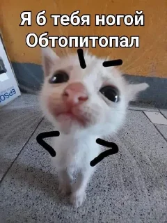 🌟 emoji ТОПИ ТОПП Telegram sticker 21 of 23