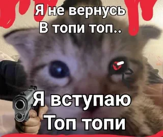 🌟 emoji ТОПИ ТОПП Telegram sticker 12 of 23