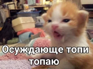 🌟 emoji ТОПИ ТОПП Telegram sticker 17 of 23