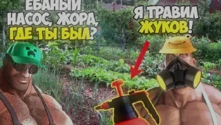 🪳 emoji MGE дачники Telegram sticker 7 of 17