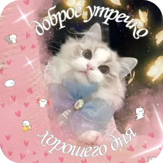 🐱 emoji С добрым утром Telegram sticker 21 of 40