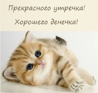 🙂 emoji Позитивные картинки 🤩 Telegram sticker 15 of 37