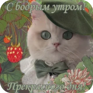 🐱 emoji С добрым утром Telegram sticker 24 of 40