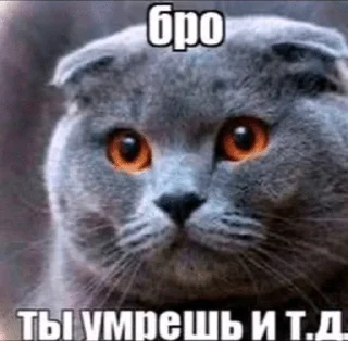 🌟 emoji Работаем, друзья Telegram sticker 5 of 51