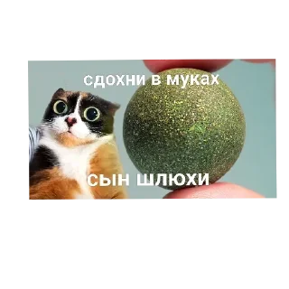 🐱 emoji БОЛЬШЕ ⇨ @CLOOBHUB МЕМЫ MEMES TG MARVEL ДЭДПУЛ ТГ Telegram sticker 18 of 70